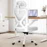 Превью Ergonomic Office Chair with Back Support — Smart Chairs, Ergalithic