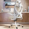 Превью Ergonomic Office Chair with Back Support — Smart Chairs, Ergalithic
