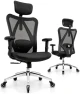 Превью Ergonomic Office Chair with Rollerblade Wheels - High Back Breathable Mesh, 4D Lumbar Support, Memory Foam Seat — Smart Chairs, Duramont