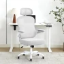 Превью Ergonomic Office Chair — Smart Chairs, TUKAKA
