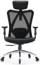 Превью Office Chair Ergonomic Desk Chair, Breathable Mesh Design High Back Computer Chair, Adjustable Headrest and Lumbar... — Smart Chairs, SIHOO