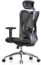 Превью Office Chair Ergonomic Desk Chair, Breathable Mesh Design High Back Computer Chair, Adjustable Headrest and Lumbar... — Smart Chairs, SIHOO