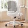 Превью Office Desk Gaming Ergonomic Computer Chair with Lumbar Back Support — Smart Chairs, NEO CHAIR