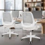 Превью Office Desk Gaming Ergonomic Computer Chair with Lumbar Back Support — Smart Chairs, NEO CHAIR