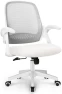 Превью Office Desk Gaming Ergonomic Computer Chair with Lumbar Back Support — Smart Chairs, NEO CHAIR