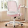Превью Office Desk Gaming Ergonomic Computer Chair with Lumbar Back Support — Smart Chairs, NEO CHAIR