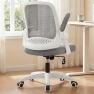 Превью Office Desk Gaming Ergonomic Computer Chair with Lumbar Back Support — Smart Chairs, NEO CHAIR
