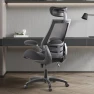 Превью Big and Tall Ergonomic Executive Chair with Wide Seat — Smart Chairs, BOLISS