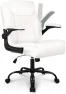 Превью Ergonomic Executive Mid-Back Desk Office Gaming Computer Chair — Smart Chairs, NEO CHAIR