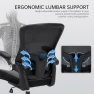 Превью Ergonomic Heavy Duty Office Chair with Adjustable Lumbar Support — Smart Chairs, Heromate