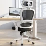 Превью Ergonomic Office Chair with Back Support — Smart Chairs, TRALT