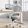 Превью Ergonomic Office Chair with Back Support — Smart Chairs, TRALT