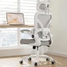 Превью Ergonomic Office Chair with Lumbar Support & Headrest — Smart Chairs, PKPT