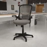 Превью High-Back Swivel Office Chair with Adjustable Lumbar Support and Seat Height, Ergonomic Mesh Desk Chair with Flip-Up... — Smart Chairs, Flash Furniture