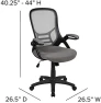 Превью High-Back Swivel Office Chair with Adjustable Lumbar Support and Seat Height, Ergonomic Mesh Desk Chair with Flip-Up... — Smart Chairs, Flash Furniture