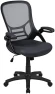 Превью High-Back Swivel Office Chair with Adjustable Lumbar Support and Seat Height, Ergonomic Mesh Desk Chair with Flip-Up... — Smart Chairs, Flash Furniture