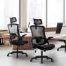 Превью Office Desk Chair with Ergonomic Headrest and Lumbar Support — Smart Chairs, NEO CHAIR