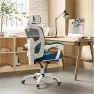 Превью Office Desk Chair with Footrest Ergonomic Gaming Chair — Smart Chairs, DUMOS