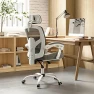 Превью Office Desk Chair with Footrest Ergonomic Gaming Chair — Smart Chairs, DUMOS