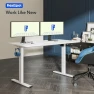 Превью 60x24 Inch Electric Standing Desk — Standing Desk, FLEXISPOT