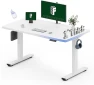 Превью 60x24 Inch Electric Standing Desk — Standing Desk, FLEXISPOT