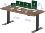 Превью 60x24 Inch Electric Standing Desk — Standing Desk, FLEXISPOT