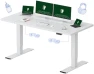 Превью 60x24 Inch Electric Standing Desk — Standing Desk, FLEXISPOT