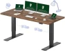 Превью 60x24 Inch Electric Standing Desk — Standing Desk, FLEXISPOT