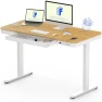 Превью Comhar Electric Standing Desk with Drawers and USB Charging — Standing Desk, FLEXISPOT