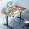 Превью Electric Height Adjustable Standing Desk — Standing Desk, DUMOS