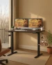 Превью Electric Standing Desk 48" x 24" — Standing Desk, Next Beauty