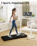 Превью Electric Standing Desk 79 x 32 Inches — Standing Desk, SANODESK