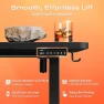 Превью Electric Standing Desk with Power Outlets and USB-C Port — Standing Desk, Huuger
