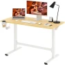 Превью Large Height Adjustable Standing Desk with Cable Management — Standing Desk, FitStand