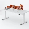 Превью Large Height Adjustable Standing Desk with Cable Management — Standing Desk, FitStand