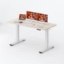 Превью Large Height Adjustable Standing Desk with Cable Management — Standing Desk, FitStand