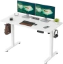 Превью 48 x 24 inches Electric Standing Desk — Standing Desk, Casaphoria