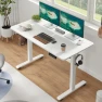 Превью 48 x 24 inches Electric Standing Desk — Standing Desk, Casaphoria