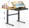 Превью Electric Drafting Table Adjustable Height 47.2"x23.6" Standing Drawing Desk Extendable Top Craft Workstation with... — Standing Desk, FLEXISPOT