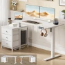 Превью Electric Standing Desk with Drawers, 47 x 24 Inches, Height Adjustable — Standing Desk, REAHOME