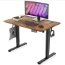 Превью Large Standing Desk with Dual Monitor Setup — Standing Desk, Monomi