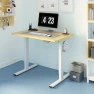 Превью One-Piece Standing Desk 40 x 24 Inches — Standing Desk, FLEXISPOT