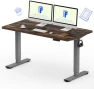 Превью One-Piece Standing Desk 40 x 24 Inches — Standing Desk, FLEXISPOT