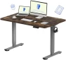 Превью One-Piece Standing Desk 40 x 24 Inches — Standing Desk, FLEXISPOT