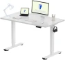 Превью One-Piece Standing Desk 40 x 24 Inches — Standing Desk, FLEXISPOT