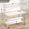 Превью Rolling Standing Desk with Power Outlets — Standing Desk, Armocity