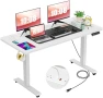 Превью 48 x 24 inch Electric Standing Desk with Charging Station — Standing Desk, farexon
