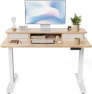 Превью 48 x 24 Inch Height Adjustable Electric Standing Desk with Double Drawer and Storage Shelf — Standing Desk, FEZIBO