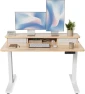 Превью 48 x 24 Inch Height Adjustable Electric Standing Desk with Double Drawer and Storage Shelf — Standing Desk, FEZIBO