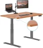 Превью Adjustable Electric Standing Desk — Standing Desk, Vari